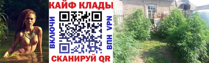 Виды наркотиков купить Печора Cocaine Амфетамин Метадон Гашиш