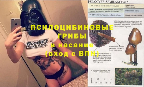 молекула духа Мегион