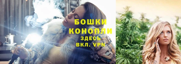 прущая мука Михайлов