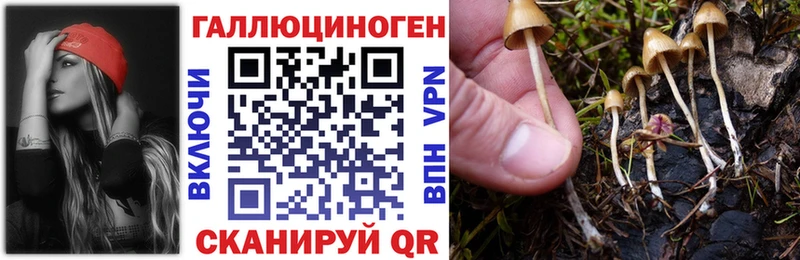 Галлюциногенные грибы Psilocybine cubensis  купить наркотики цена  Печора 