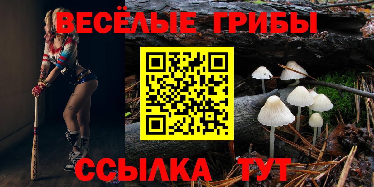 Псилоцибиновые грибы мицелий  Галлюциногенные грибы Psilocybine cubensis  Вход с VPN  Печора 